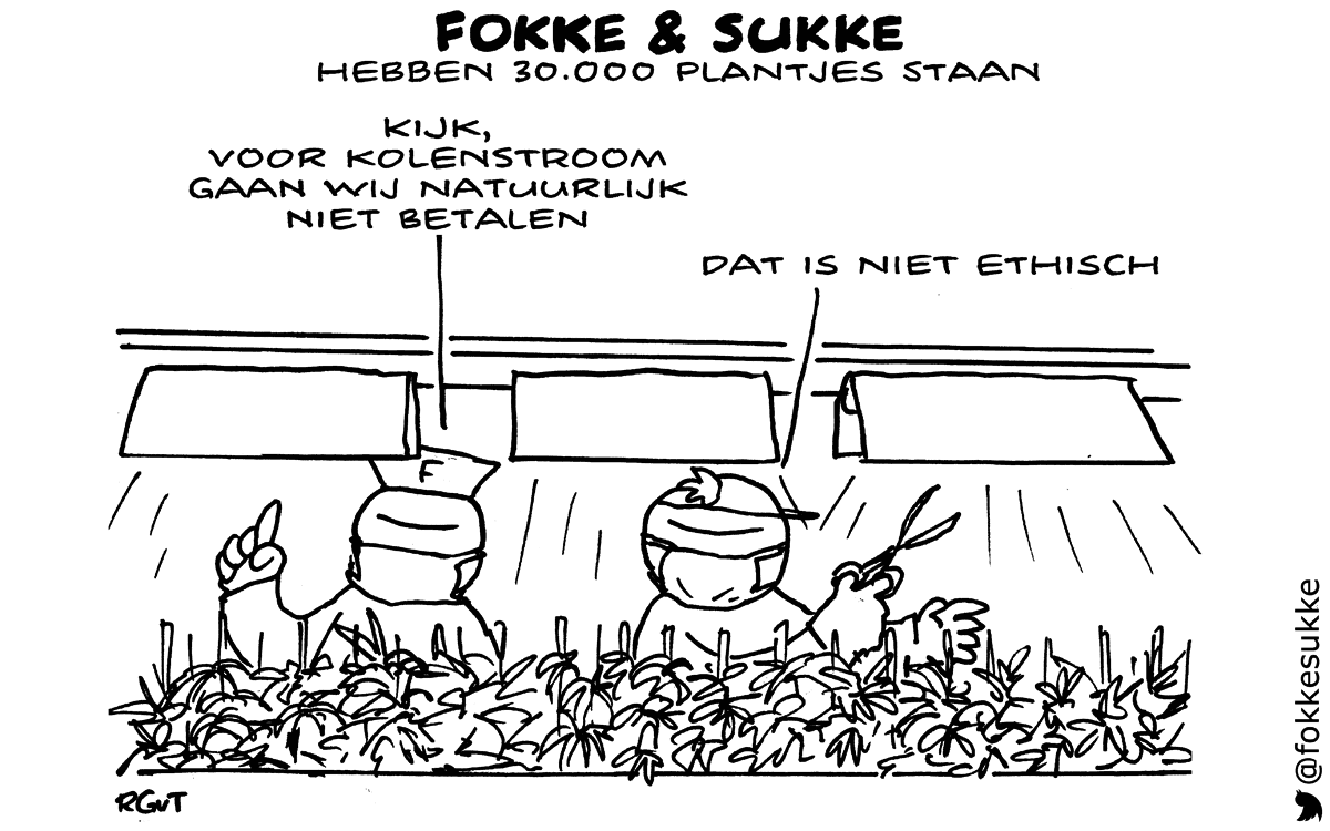 foksuk